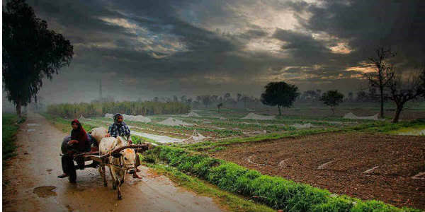 Madhya Pradesh Monsoon 0A